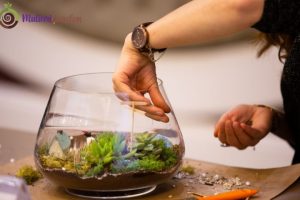 Dekorasi Mini Garden Panggung yang Menawan untuk Taman dan Acara Outdoor
