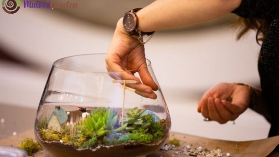 Dekorasi Mini Garden Panggung yang Menawan untuk Taman dan Acara Outdoor