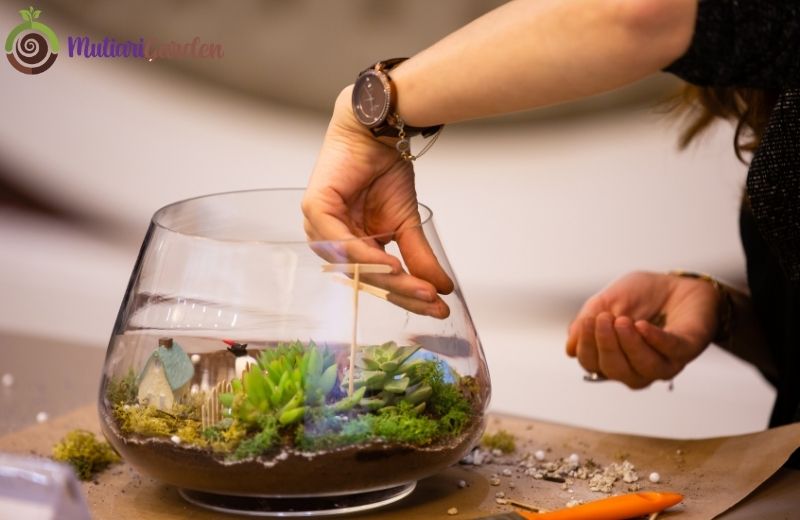 Dekorasi Mini Garden Panggung yang Menawan untuk Taman dan Acara Outdoor
