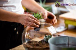 Inspirasi Mini Garden Panggung Outdoor yang Estetik dan Fungsional