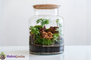 Mini Garden Panggung Simple untuk Taman Cantik dan Rapi
