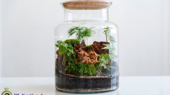 Mini Garden Panggung Simple untuk Taman Cantik dan Rapi