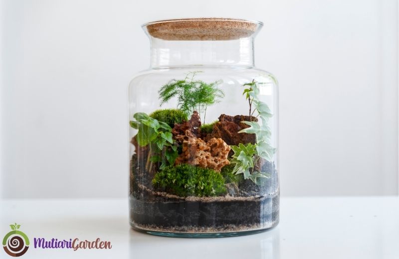 Mini Garden Panggung Simple untuk Taman Cantik dan Rapi