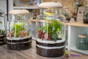 Sewa Mini Garden Panggung untuk Acara Outdoor yang Menawan