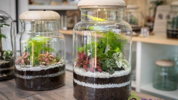 Sewa Mini Garden Panggung untuk Acara Outdoor yang Menawan