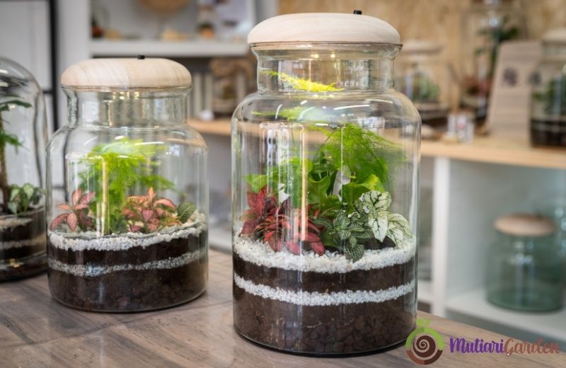 Sewa Mini Garden Panggung untuk Acara Outdoor yang Menawan