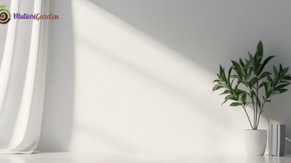 Sewa Tanaman Hias di Kantor untuk Ciptakan Suasana Segar, Nyaman, dan Produktif