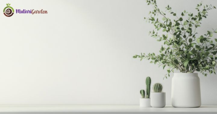 Sewa Tanaman Hias di Rumah Sakit