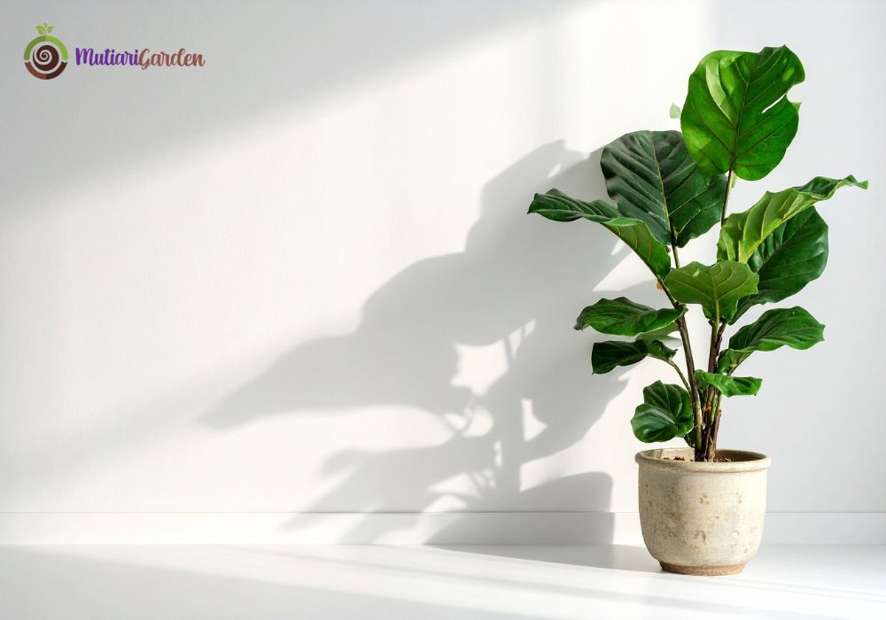 Panduan Lengkap Sewa Tanaman Hias di BSD Tower