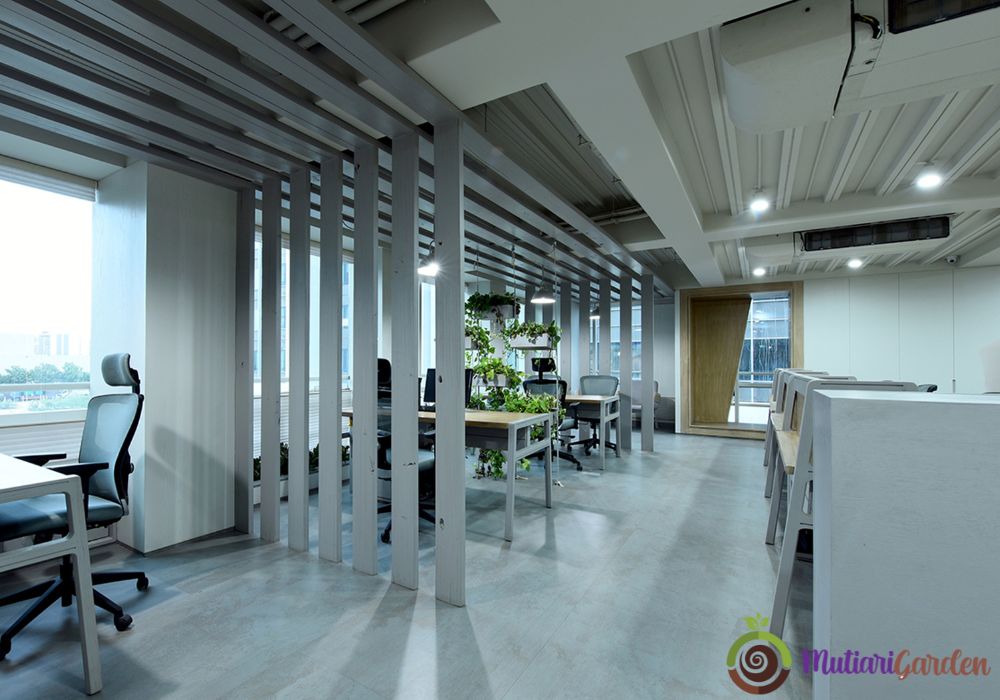 Panduan Lengkap Sewa Tanaman Hias di Menara Sudirman