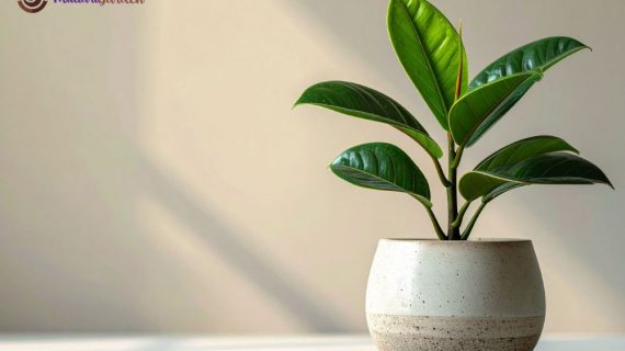 Optimalkan Estetika & Produktivitas: Panduan Lengkap Sewa Tanaman Hias di PT Landmark Building