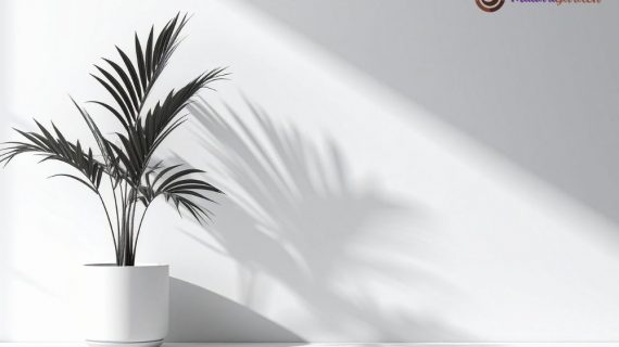 Sewa Tanaman Hias di Intiland Tower: Tingkatkan Estetika dan Produktivitas Kantor Anda