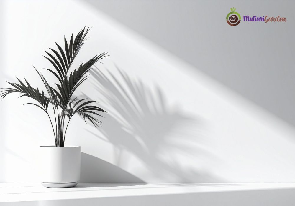 Sewa Tanaman Hias di Intiland Tower