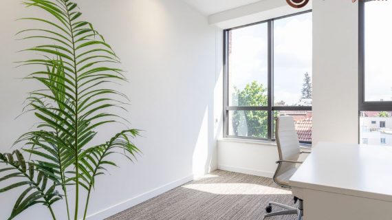 Sewa Tanaman Hias di Karawang: Solusi Praktis Percantik Ruang Anda dengan Sentuhan Hijau