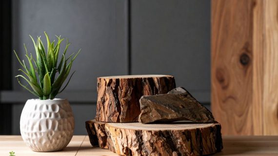 Sewa Tanaman Hias di Menara Mandiri: Ciptakan Lingkungan Kerja Produktif dan Asri