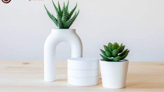 Menciptakan Lingkungan Pemulihan: Manfaat dan Panduan Sewa Tanaman Hias untuk Rumah Sakit