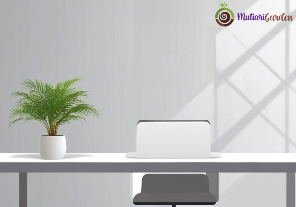 Sewa Tanaman Hias di Cikarang